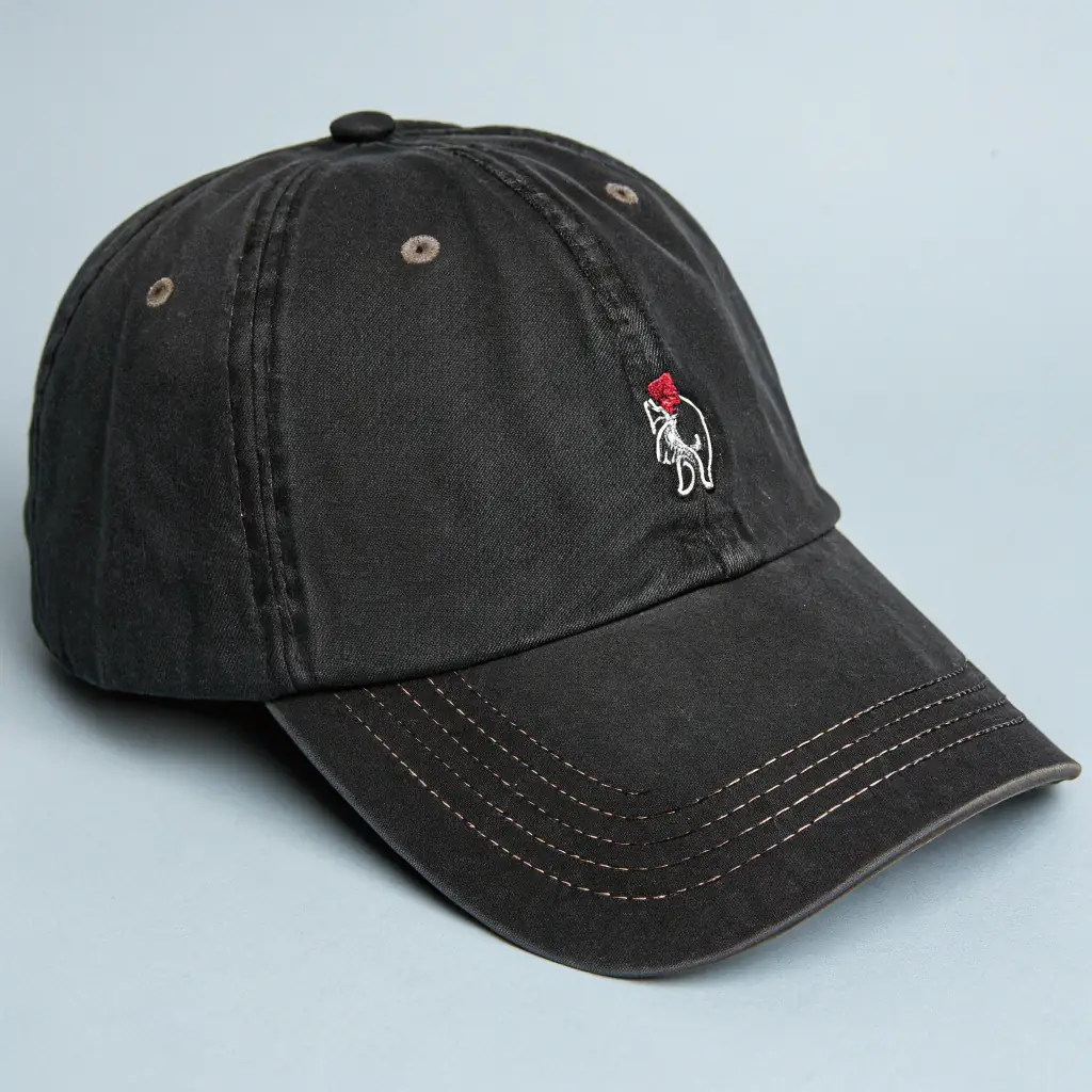 Gorra de fotografía con logo